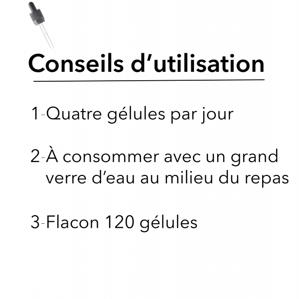 HT26 PARIS® VENTRE PLAT. 
